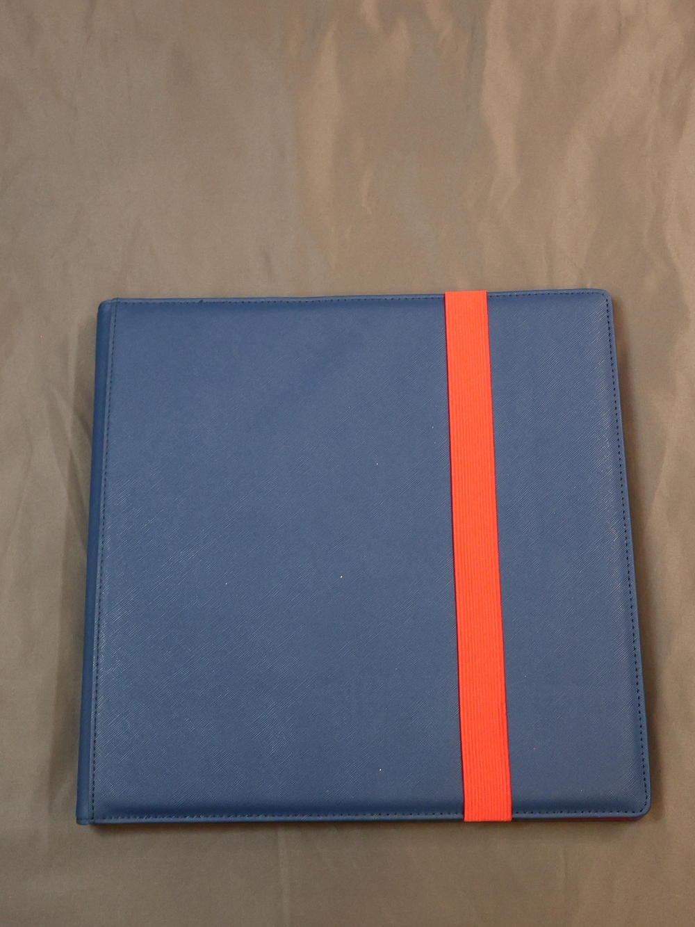 Dex Blue Storage Binder with Red Elastic Strap